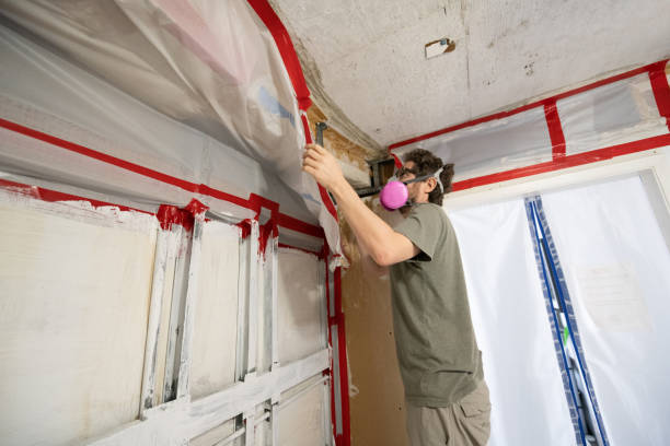 Mold Remediation for Rental Properties in Eldersburg, MD